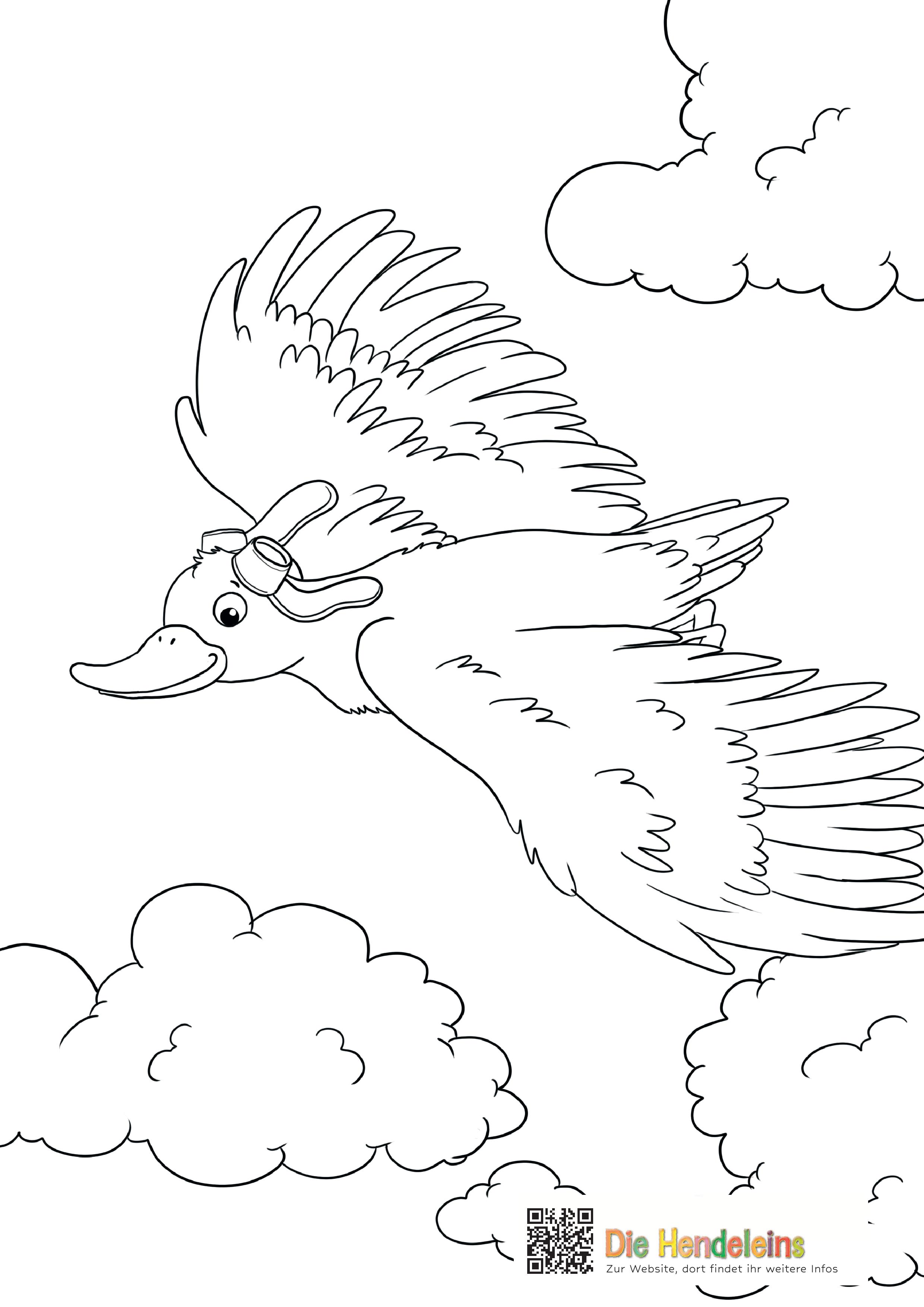 Ducki