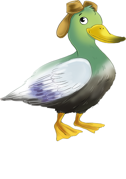 Ducki