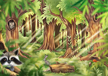 Der Wald
